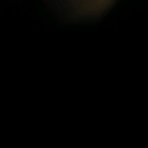 Meet your Posher, Brady